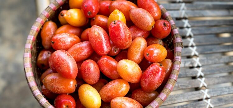 tomates pelées concassées - LaTerradiPuglia.fr