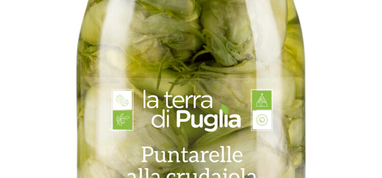 puntarelle alla crudaiola - LaTerradiPuglia.fr
