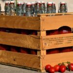 purée de tomates de pouilles - LaTerradiPuglia.it