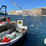 voyage dans les Pouilles 7 jours quoi voir - LaTerradiPuglia.fr