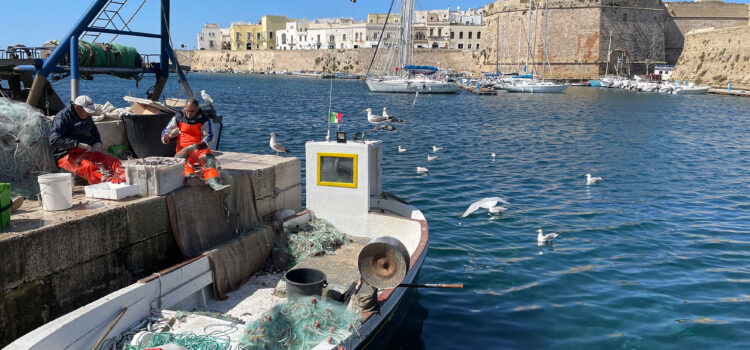 voyage dans les Pouilles 7 jours quoi voir - LaTerradiPuglia.fr voyage dans les Pouilles 7 jours quoi voir - LaTerradiPuglia.fr